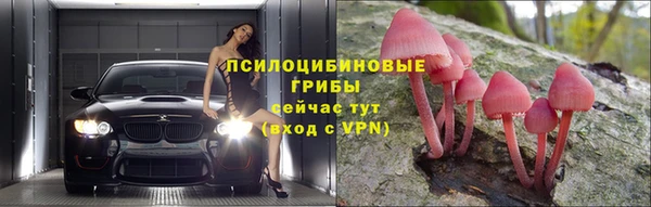 круглые Абаза