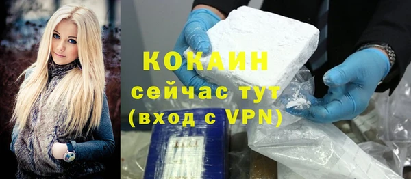 стаф Нея