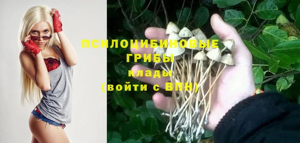 меф Нефтегорск
