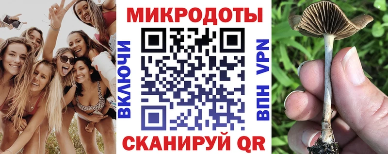 где купить наркотик  Шарья  Галлюциногенные грибы MAGIC MUSHROOMS 